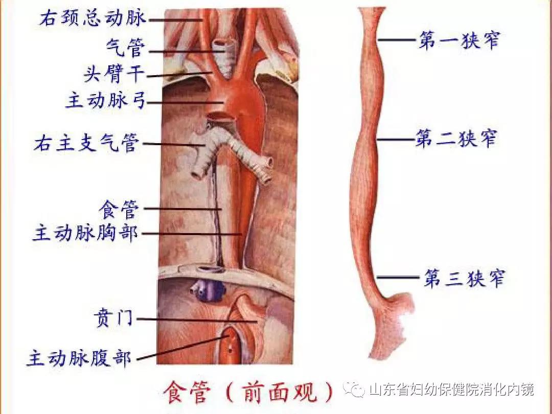 微信图片_20190318090636.jpg
