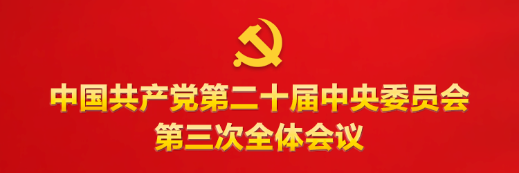 517985a593cfdb7a7131613738b2c24e_W020240815334527869232.png